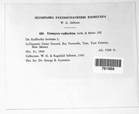 Image Associated With the Occurence